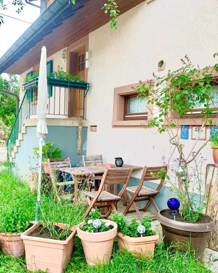 Ferienwohnung Diana Sexau Bagian luar foto